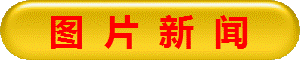 图  片  新  闻